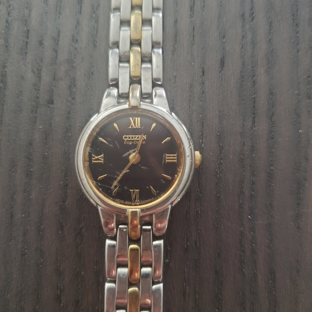 Citizens Eco-Drive Watch